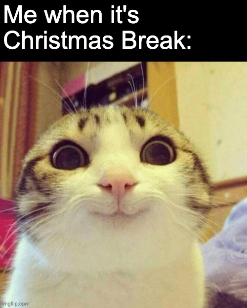 I'm excited | Me when it's Christmas Break: | image tagged in memes,smiling cat,school | made w/ Imgflip meme maker