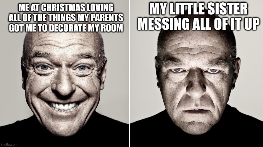 my sis is so damn annoying | MY LITTLE SISTER MESSING ALL OF IT UP; ME AT CHRISTMAS LOVING ALL OF THE THINGS MY PARENTS GOT ME TO DECORATE MY ROOM | image tagged in dean norris's reaction | made w/ Imgflip meme maker