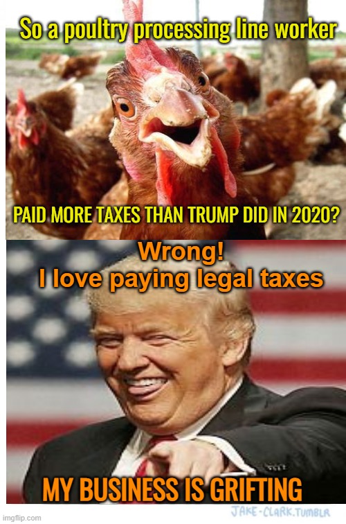 Paying taxes like the working man do | So a poultry processing line worker; PAID MORE TAXES THAN TRUMP DID IN 2020? Wrong!
 I love paying legal taxes; MY BUSINESS IS GRIFTING | image tagged in donald trump,maga,fraud,political meme,taxes | made w/ Imgflip meme maker