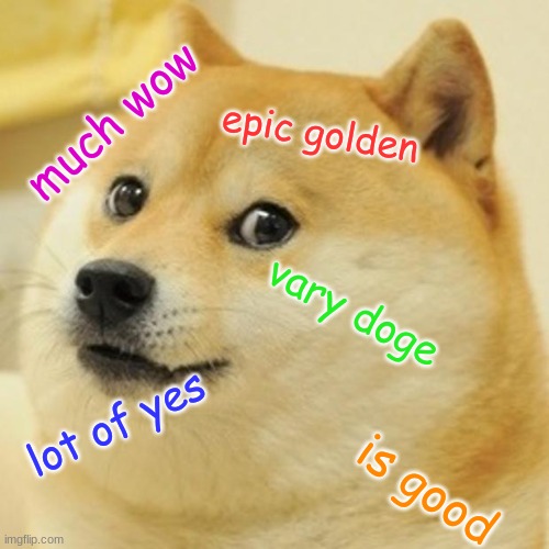 Doge | much wow; epic golden; vary doge; lot of yes; is good | image tagged in memes,doge | made w/ Imgflip meme maker