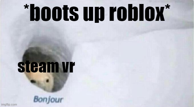 werid glitch | *boots up roblox*; steam vr | image tagged in bonjour bear,roblox,steam,bonjour,funny,memes | made w/ Imgflip meme maker