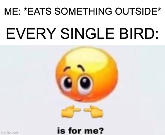 Get away from me | ME: *EATS SOMETHING OUTSIDE*; EVERY SINGLE BIRD: | image tagged in is for me,birds,memes,funny,funny memes,food | made w/ Imgflip meme maker