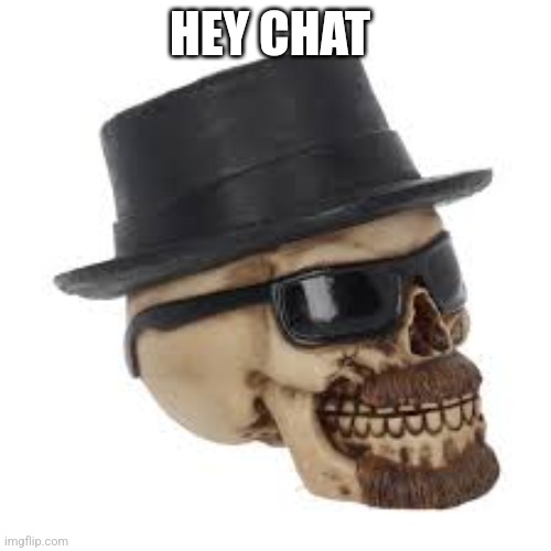 Heisenbones | HEY CHAT | image tagged in heisenbones | made w/ Imgflip meme maker