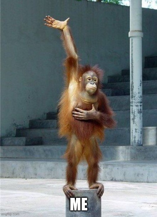 Monkey Raising Hand | ME | image tagged in monkey raising hand | made w/ Imgflip meme maker
