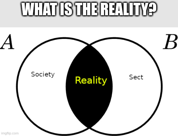 mgtow is the reality | WHAT IS THE REALITY? | image tagged in reactions,expectation vs reality,we live in a society | made w/ Imgflip meme maker