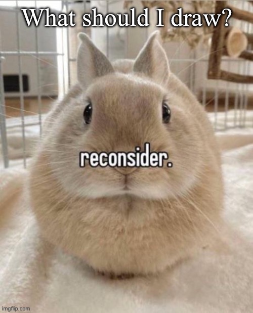 reconsider | What should I draw? | image tagged in reconsider | made w/ Imgflip meme maker