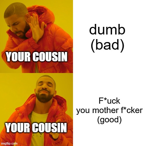 dumb
(bad) F*uck you mother f*cker
(good) YOUR COUSIN YOUR COUSIN | image tagged in memes,drake hotline bling | made w/ Imgflip meme maker