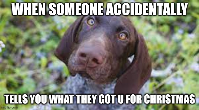Oops | WHEN SOMEONE ACCIDENTALLY; TELLS YOU WHAT THEY GOT U FOR CHRISTMAS | image tagged in christmas,cute | made w/ Imgflip meme maker
