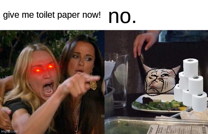 Woman Yelling At Cat | give me toilet paper now! no. | image tagged in memes,woman yelling at cat | made w/ Imgflip meme maker