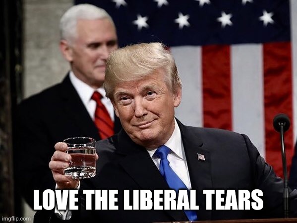 Liberal Tears | LOVE THE LIBERAL TEARS | image tagged in liberal tears | made w/ Imgflip meme maker