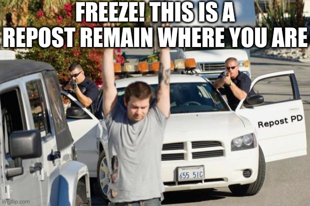 Repost Police | FREEZE! THIS IS A REPOST REMAIN WHERE YOU ARE | image tagged in repost police | made w/ Imgflip meme maker