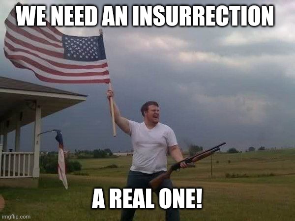 American flag shotgun guy | WE NEED AN INSURRECTION A REAL ONE! | image tagged in american flag shotgun guy | made w/ Imgflip meme maker