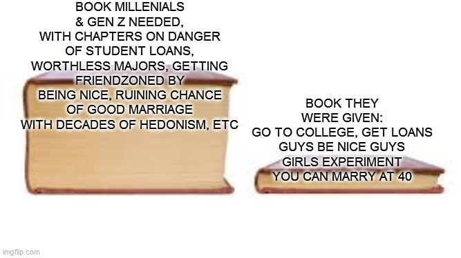 bad advice from boomers and gen x | BOOK MILLENIALS & GEN Z NEEDED, WITH CHAPTERS ON DANGER OF STUDENT LOANS, WORTHLESS MAJORS, GETTING FRIENDZONED BY BEING NICE, RUINING CHANCE OF GOOD MARRIAGE WITH DECADES OF HEDONISM, ETC; BOOK THEY WERE GIVEN:
GO TO COLLEGE, GET LOANS
GUYS BE NICE GUYS
GIRLS EXPERIMENT YOU CAN MARRY AT 40 | image tagged in big book small book | made w/ Imgflip meme maker