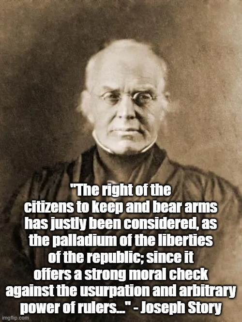 Palladium of Liberty | "The right of the citizens to keep and bear arms has justly been considered, as the palladium of the liberties of the republic; since it offers a strong moral check against the usurpation and arbitrary power of rulers..." - Joseph Story | image tagged in guns,rights,politics,gun control | made w/ Imgflip meme maker