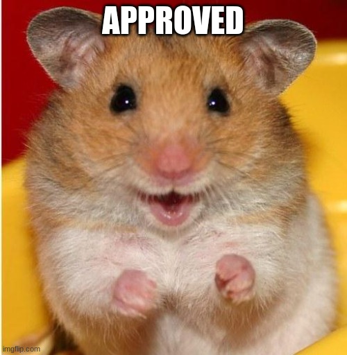 hamster | APPROVED | image tagged in hamster | made w/ Imgflip meme maker