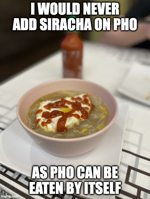 Siracha | I WOULD NEVER ADD SIRACHA ON PHO; AS PHO CAN BE EATEN BY ITSELF | image tagged in food,memes | made w/ Imgflip meme maker