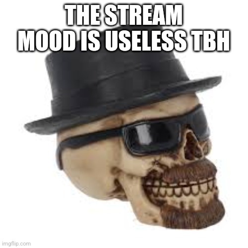 Heisenbones | THE STREAM MOOD IS USELESS TBH | image tagged in heisenbones | made w/ Imgflip meme maker