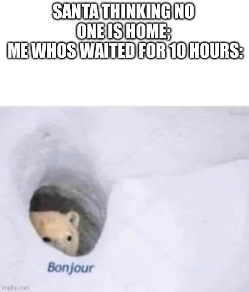 Bonjour | SANTA THINKING NO ONE IS HOME;
 ME WHOS WAITED FOR 10 HOURS: | image tagged in bonjour,santa | made w/ Imgflip meme maker