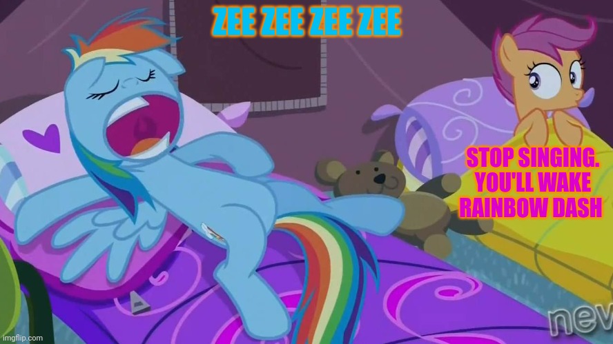 Rainbow Dash sleepover | ZEE ZEE ZEE ZEE STOP SINGING. YOU'LL WAKE RAINBOW DASH | image tagged in rainbow dash sleepover | made w/ Imgflip meme maker