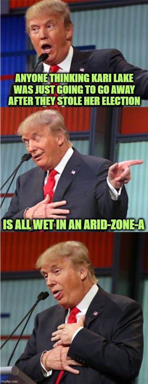 Bad Pun Trump | ANYONE THINKING KARI LAKE WAS JUST GOING TO GO AWAY AFTER THEY STOLE HER ELECTION; IS ALL WET IN AN ARID-ZONE-A | image tagged in bad pun trump | made w/ Imgflip meme maker