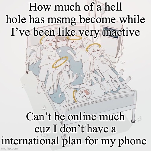 Avogado6 | How much of a hell hole has msmg become while I’ve been like very inactive; Can’t be online much cuz I don’t have a international plan for my phone | image tagged in avogado6 | made w/ Imgflip meme maker