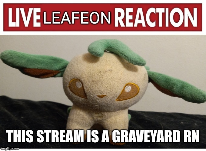 live leafeon reaction | THIS STREAM IS А GRAVEYARD RN | image tagged in live leafeon reaction | made w/ Imgflip meme maker