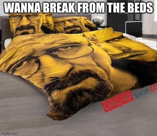 lol | WANNA BREAK FROM THE BEDS | image tagged in breaking bed | made w/ Imgflip meme maker