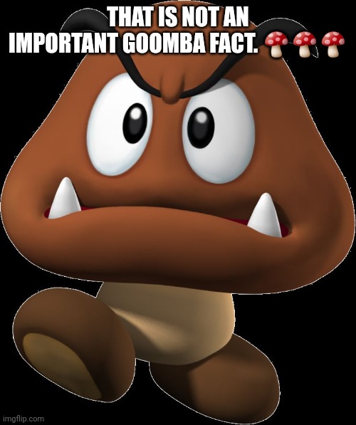 Goomba | THAT IS NOT AN IMPORTANT GOOMBA FACT. 🍄🍄🍄 | image tagged in goomba | made w/ Imgflip meme maker