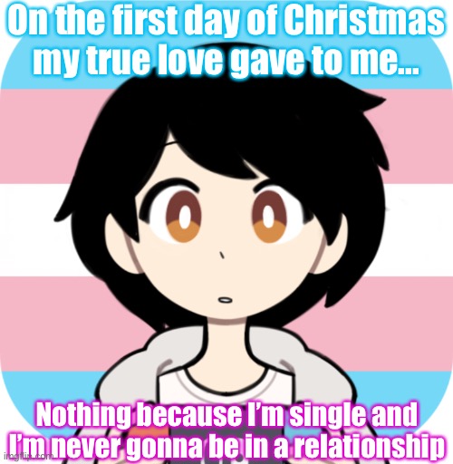 I’m not bisexual, I’m bi-myself ;-; | On the first day of Christmas my true love gave to me... Nothing because I’m single and I’m never gonna be in a relationship | image tagged in echo_yt template | made w/ Imgflip meme maker