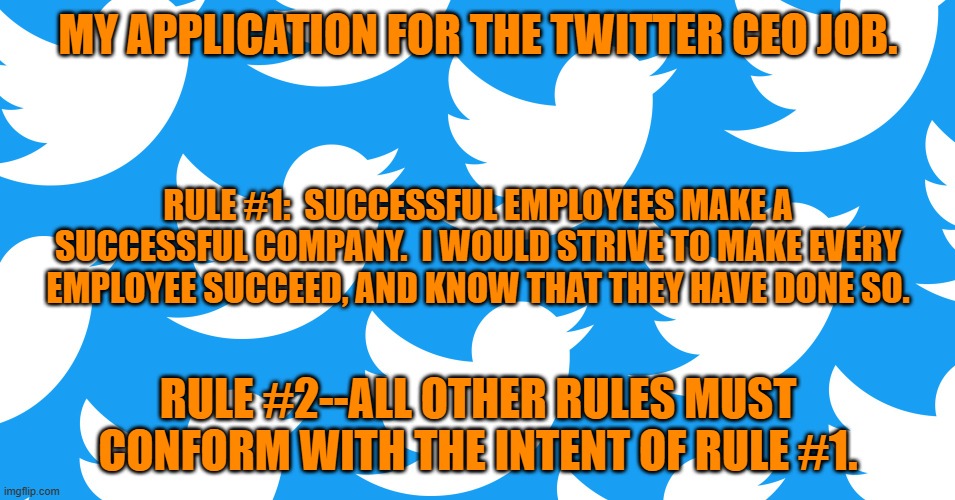 Or you could take a wildly successful company made up of subject matter experts and convince them they are failures. | MY APPLICATION FOR THE TWITTER CEO JOB. RULE #1:  SUCCESSFUL EMPLOYEES MAKE A SUCCESSFUL COMPANY.  I WOULD STRIVE TO MAKE EVERY EMPLOYEE SUCCEED, AND KNOW THAT THEY HAVE DONE SO. RULE #2--ALL OTHER RULES MUST CONFORM WITH THE INTENT OF RULE #1. | image tagged in politics | made w/ Imgflip meme maker