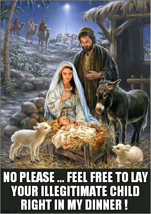 That's One Sarcastic Donkey ! | NO PLEASE ... FEEL FREE TO LAY
 YOUR ILLEGITIMATE CHILD 
RIGHT IN MY DINNER ! | image tagged in sarcastic,donkey,nativity,dark humour | made w/ Imgflip meme maker