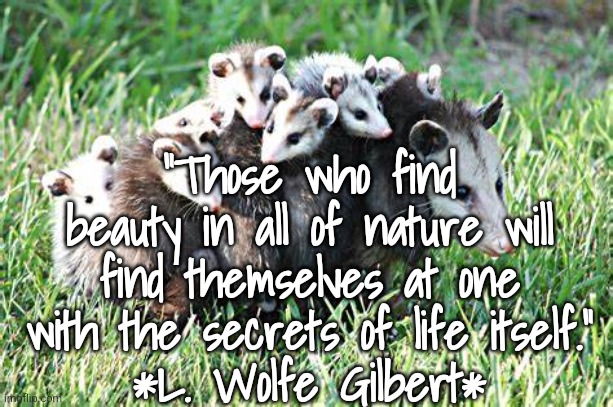 Beauty of Nature | "Those who find beauty in all of nature will find themselves at one with the secrets of life itself."
*L. Wolfe Gilbert* | image tagged in nature,animals | made w/ Imgflip meme maker