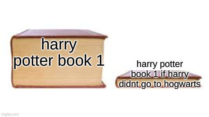 accrate tho | harry potter book 1; harry potter book 1 if harry didnt go to hogwarts | image tagged in big book small book | made w/ Imgflip meme maker