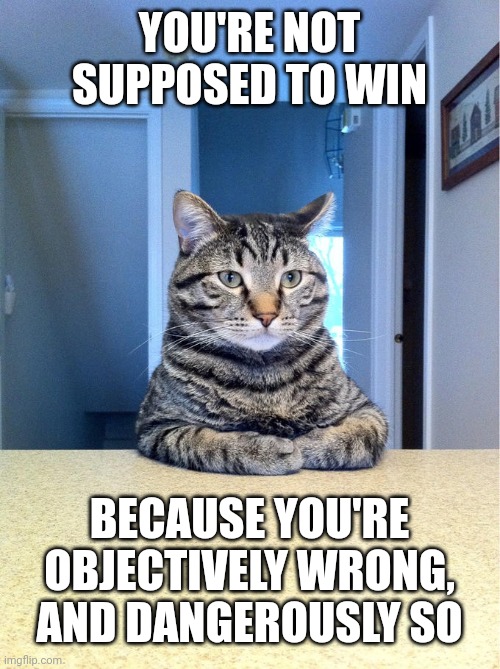 Serious Cat | YOU'RE NOT SUPPOSED TO WIN BECAUSE YOU'RE OBJECTIVELY WRONG, AND DANGEROUSLY SO | image tagged in serious cat | made w/ Imgflip meme maker