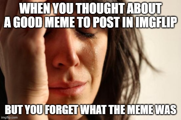 First World Problems | WHEN YOU THOUGHT ABOUT A GOOD MEME TO POST IN IMGFLIP; BUT YOU FORGET WHAT THE MEME WAS | image tagged in memes,first world problems | made w/ Imgflip meme maker