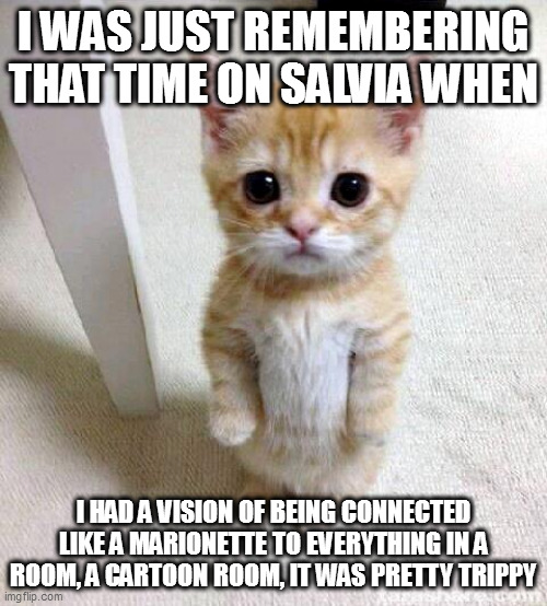 allergic to allegory | I WAS JUST REMEMBERING THAT TIME ON SALVIA WHEN; I HAD A VISION OF BEING CONNECTED LIKE A MARIONETTE TO EVERYTHING IN A ROOM, A CARTOON ROOM, IT WAS PRETTY TRIPPY | image tagged in memes,cute cat | made w/ Imgflip meme maker