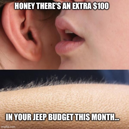Whisper and Goosebumps | HONEY THERE'S AN EXTRA $100; IN YOUR JEEP BUDGET THIS MONTH… | image tagged in whisper and goosebumps | made w/ Imgflip meme maker