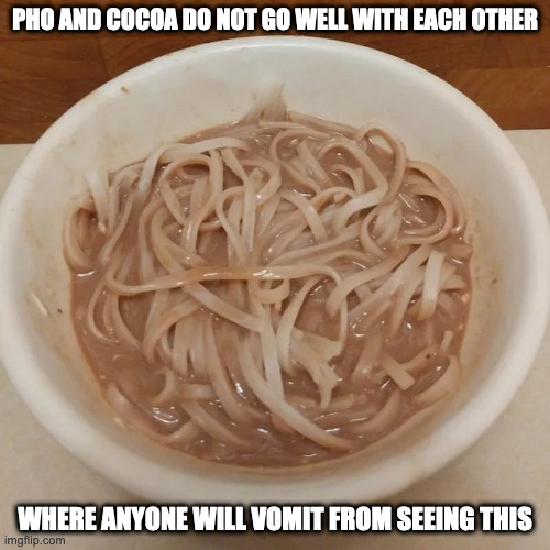 Phocoa | PHO AND COCOA DO NOT GO WELL WITH EACH OTHER; WHERE ANYONE WILL VOMIT FROM SEEING THIS | image tagged in pho,cocoa,food,noodles,memes | made w/ Imgflip meme maker