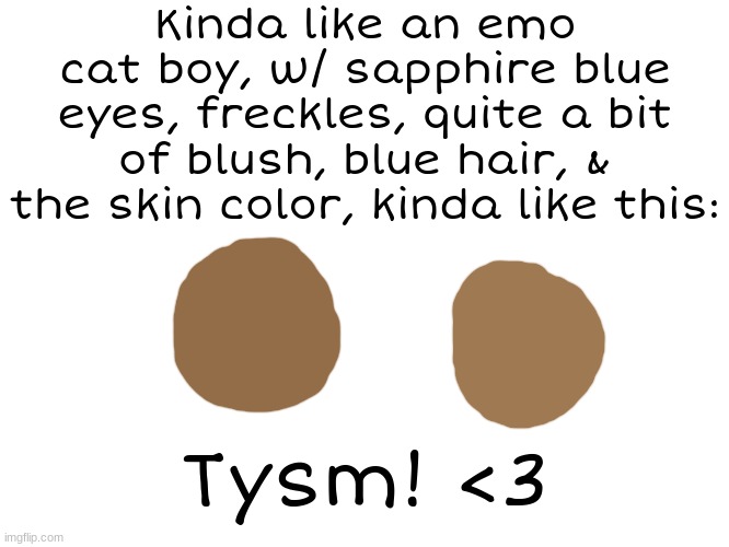 Kinda like an emo cat boy, w/ sapphire blue eyes, freckles, quite a bit of blush, blue hair, & the skin color, kinda like this: Tysm! <3 | made w/ Imgflip meme maker