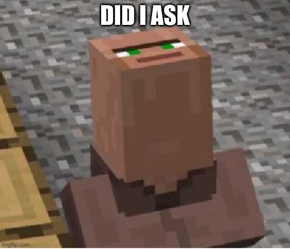 Minecraft Villager Looking Up | DID I ASK | image tagged in minecraft villager looking up | made w/ Imgflip meme maker