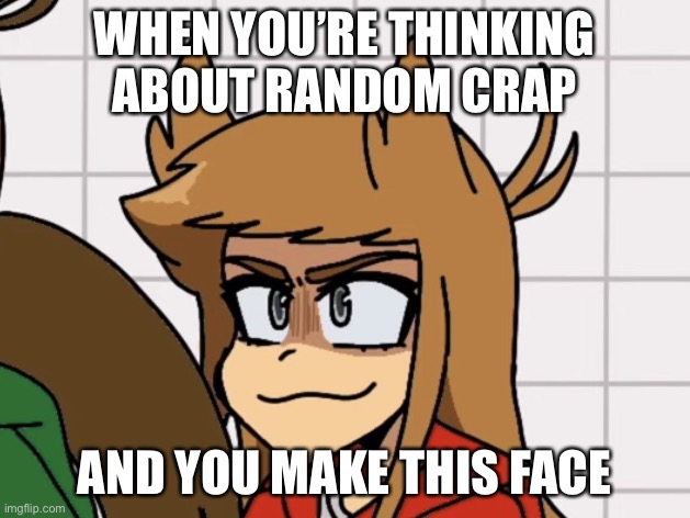Just me? Aight. | WHEN YOU’RE THINKING ABOUT RANDOM CRAP; AND YOU MAKE THIS FACE | image tagged in eddsworld,ellsworld | made w/ Imgflip meme maker