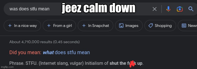 so mean | jeez calm down | image tagged in funny,fun,memes,google | made w/ Imgflip meme maker