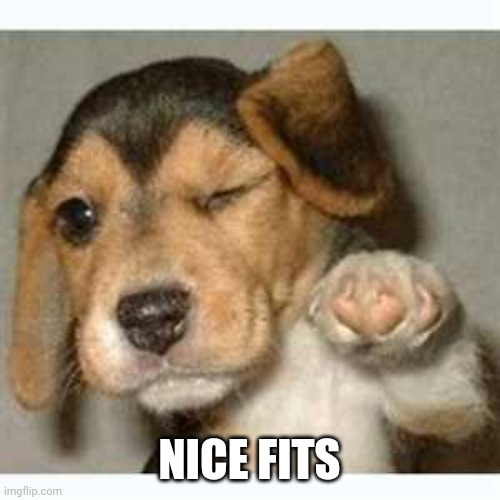 Fist bump puppy  | NICE FITS | image tagged in fist bump puppy | made w/ Imgflip meme maker