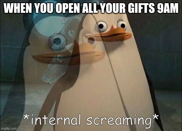 Private Internal Screaming | WHEN YOU OPEN ALL YOUR GIFTS 9AM | image tagged in private internal screaming | made w/ Imgflip meme maker