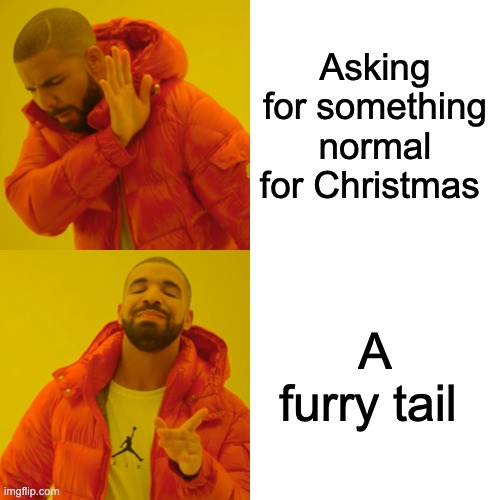 E | Asking for something normal for Christmas; A furry tail | image tagged in memes,drake hotline bling | made w/ Imgflip meme maker