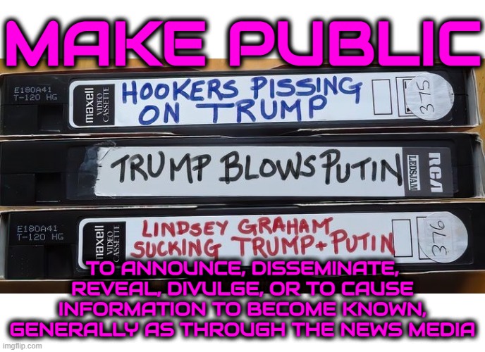 MAKE PUBLIC | MAKE PUBLIC; TO ANNOUNCE, DISSEMINATE, REVEAL, DIVULGE, OR TO CAUSE INFORMATION TO BECOME KNOWN, GENERALLY AS THROUGH THE NEWS MEDIA | image tagged in make public,announce,reveal,divulge,publish,information | made w/ Imgflip meme maker