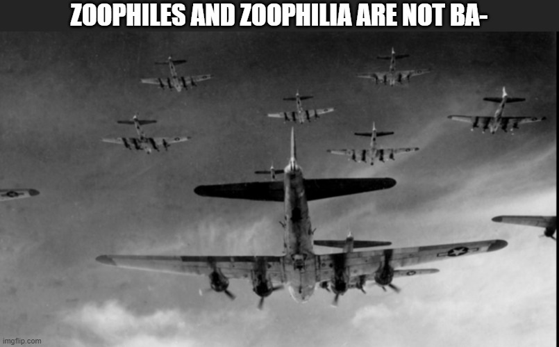 B17 Ambush | ZOOPHILES AND ZOOPHILIA ARE NOT BA- | image tagged in b17 ambush | made w/ Imgflip meme maker