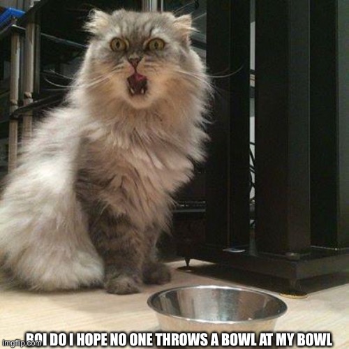 empty food bowl | BOI DO I HOPE NO ONE THROWS A BOWL AT MY BOWL | image tagged in empty food bowl | made w/ Imgflip meme maker