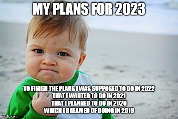 sucsess kid | MY PLANS FOR 2023; TO FINISH THE PLANS I WAS SUPPOSED TO DO IN 2022
THAT I WANTED TO DO IN 2021
THAT I PLANNED TO DO IN 2020
WHICH I DREAMED OF DOING IN 2019 | image tagged in sucsess kid | made w/ Imgflip meme maker