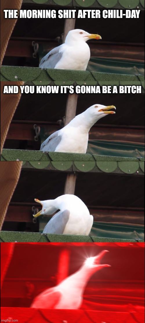 You know it.. |  THE MORNING SHIT AFTER CHILI-DAY; AND YOU KNOW IT'S GONNA BE A BITCH | image tagged in memes,inhaling seagull,chili,shit,butthurt | made w/ Imgflip meme maker